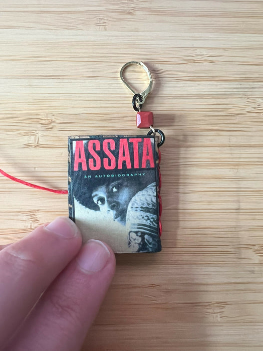 Anti-racist Book Cover Booklet Earrings