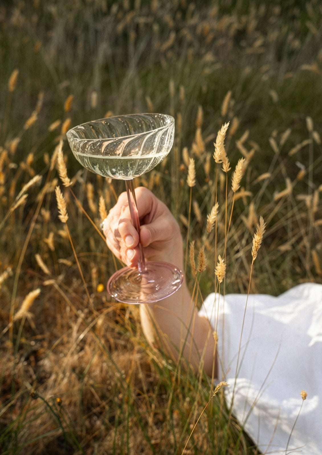 Leela Coupe Glass