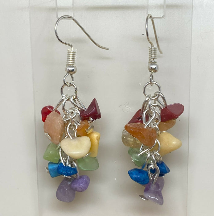 Pride Stone Chip Earrings